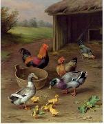 unknow artist poultry  147 USA oil painting artist